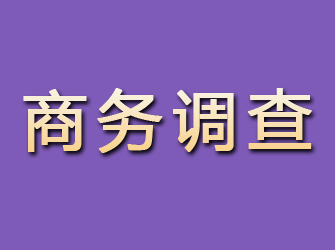 滨海新区商务调查